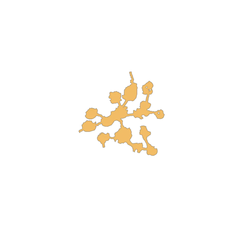 f_coral_44_2