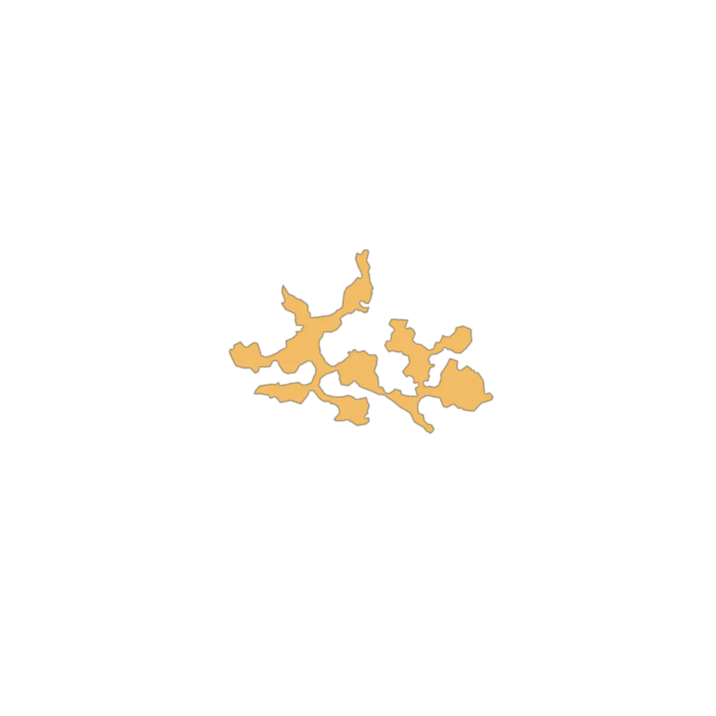 f_coral_44_3
