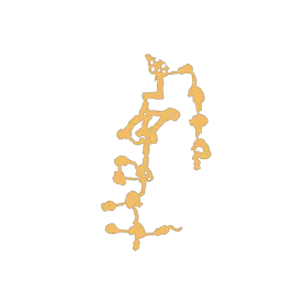 d_thorn_19