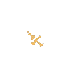 f_rokas_31