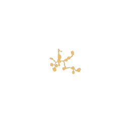 f_gele_57_4