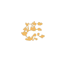 f_whitetrees_23_1