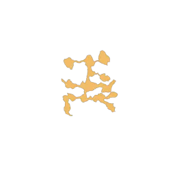 f_maple_23_2
