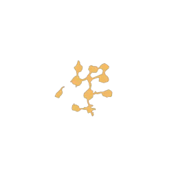 f_whitetrees_23_3