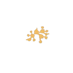 f_rokas_36_1