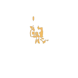f_dcapital_20_6