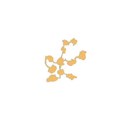 f_whitetrees_21_2