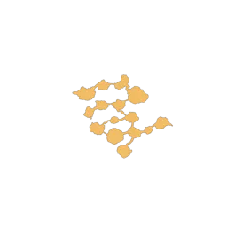 f_whitetrees_22_1