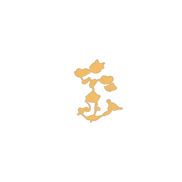 f_whitetrees_22_2