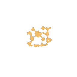 f_maple_24_1