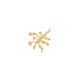 f_maple_24_2