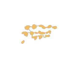 f_maple_25_1