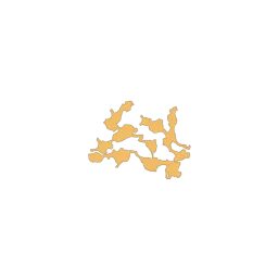 f_maple_25_2
