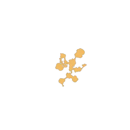 f_coral_32_1