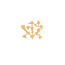 f_coral_32_2