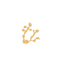 f_orchard_34_1