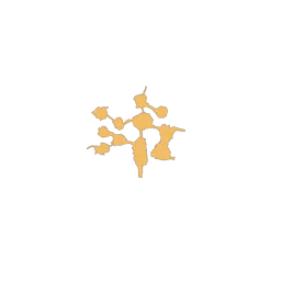 f_siauliai_35_1