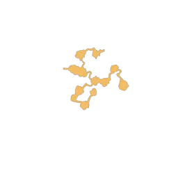 f_coral_35_2