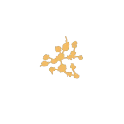 f_coral_44_2
