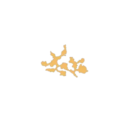f_coral_44_3