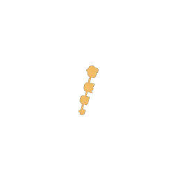 raid_siauliai1